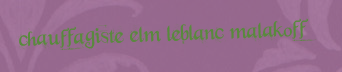 Chauffagiste Elm Leblanc Malakoff